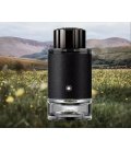 Mont Blanc Explorer