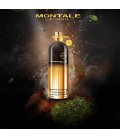 Montale Vetiver Patchouli