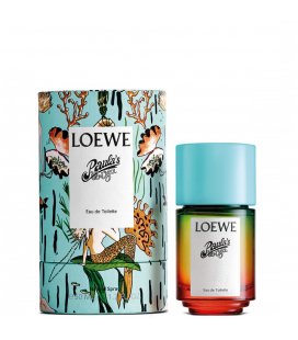 Loewe Paula's Ibiza