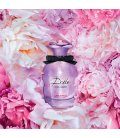 D&G Dolce Peony