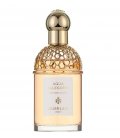 Guerlain Aqua Allegoria Orange Soleia