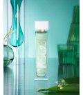 Elizabeth Arden White Tea Eau Fraiche