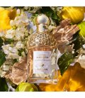 Guerlain Aqua Allegoria Bergamote Calabria