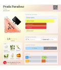 Prada Paradoxe
