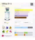 Tiffany & Co Tiffany