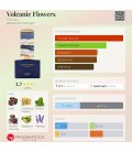 Floraiku Volcanic Flowers
