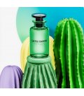 Louis Vuitton Cactus Garden