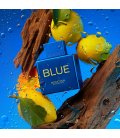 Antonio Banderas Blue Seduction Summer Essence for Men