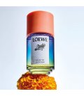 Loewe Paula's Ibiza Eclectic