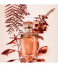 Tiffany Rose Gold Intense