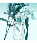 Tiffany & Co Tiffany