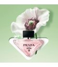 Prada Paradoxe Virtual Flower