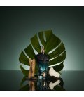 Jean Paul Gaultier Le Beau Le Parfum